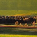 Landschaft mit Streifen in Grüntönen überlagert