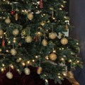Weihnachtsbaum mit Strohsternen Weihnachtsbaum mit Strohsternen