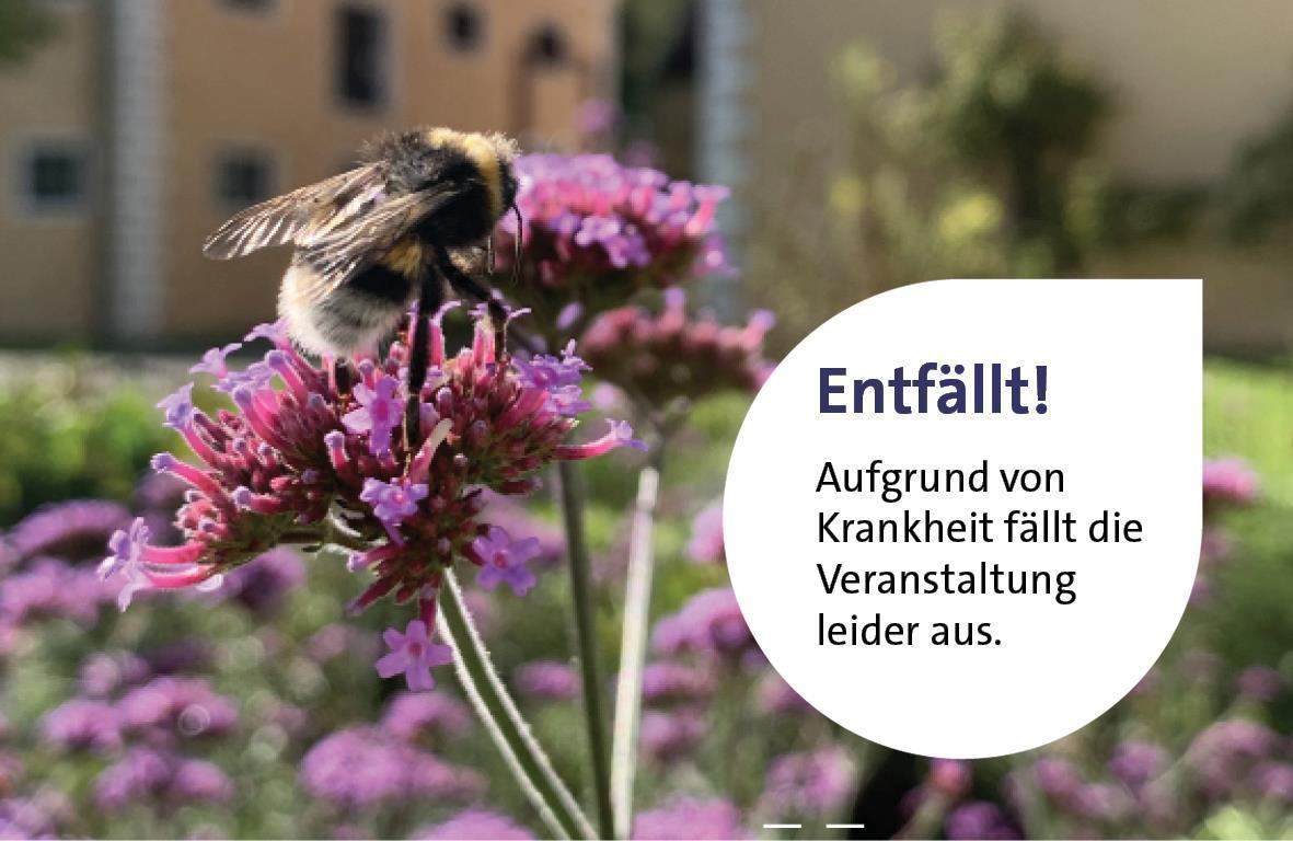 Entfällt wegen Krankheit: Kräuter und Poesie