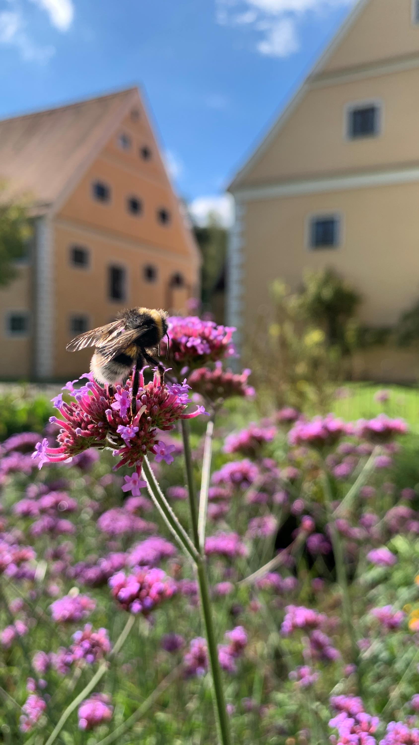 Leider haben wir keinen Alternativtext zu diesem Bild, aber wir arbeiten daran.