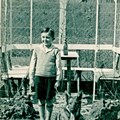 Kleiner Junge steht neben Schäferhund