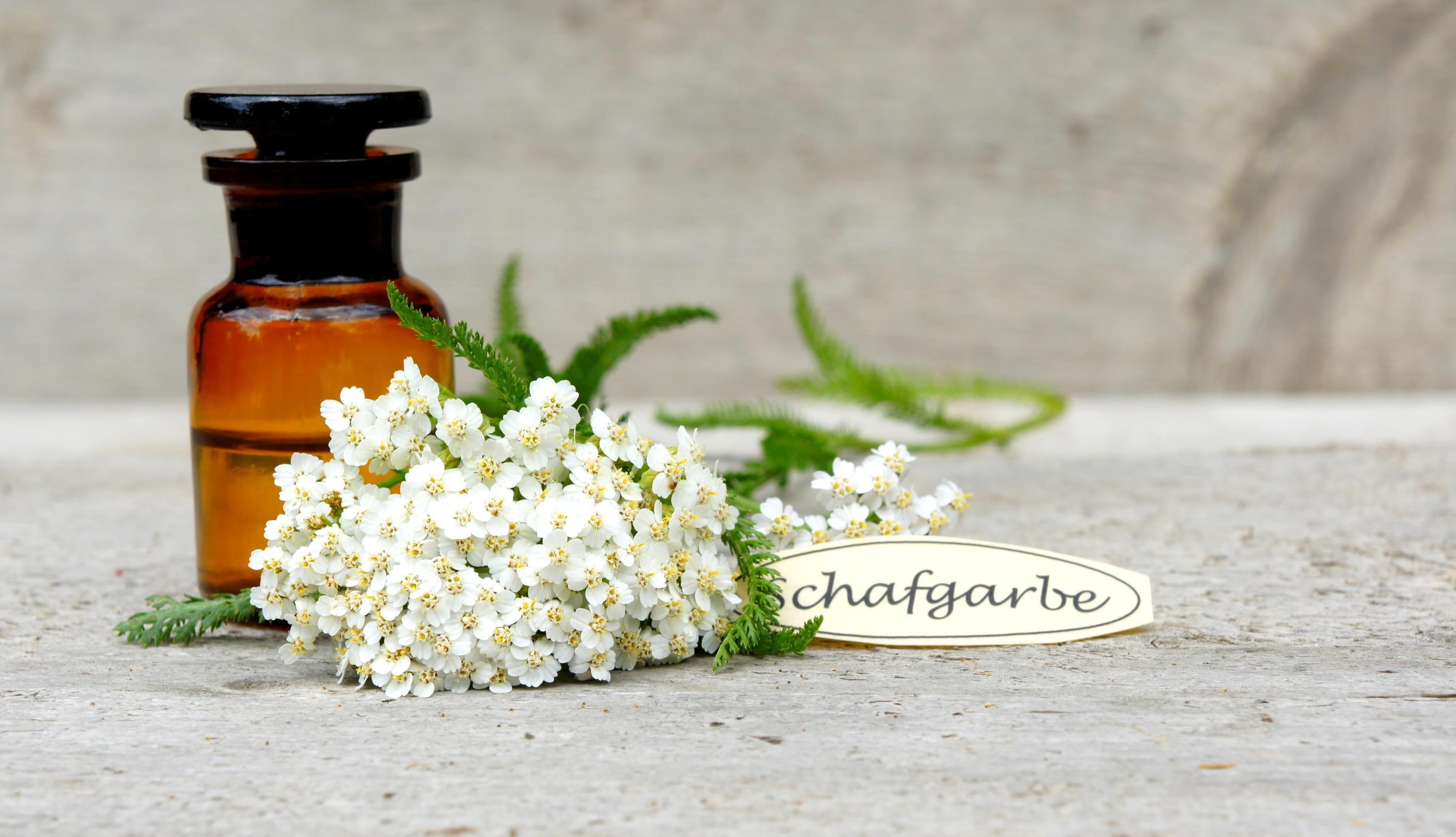 Kräutersommer: Der Winter kann kommen!