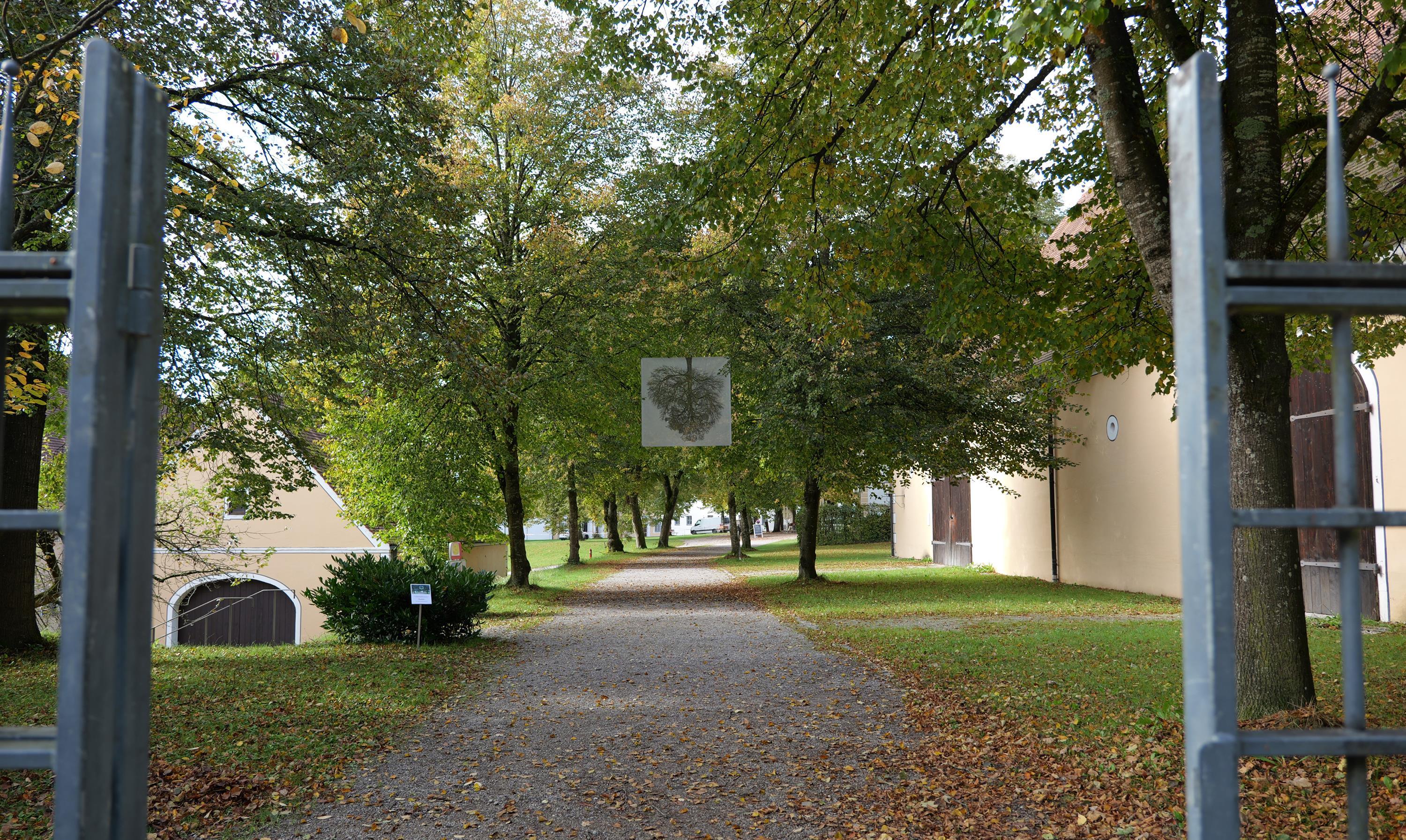 Weg in Richtung Biergarten mit Bäumen und Kunstwerk