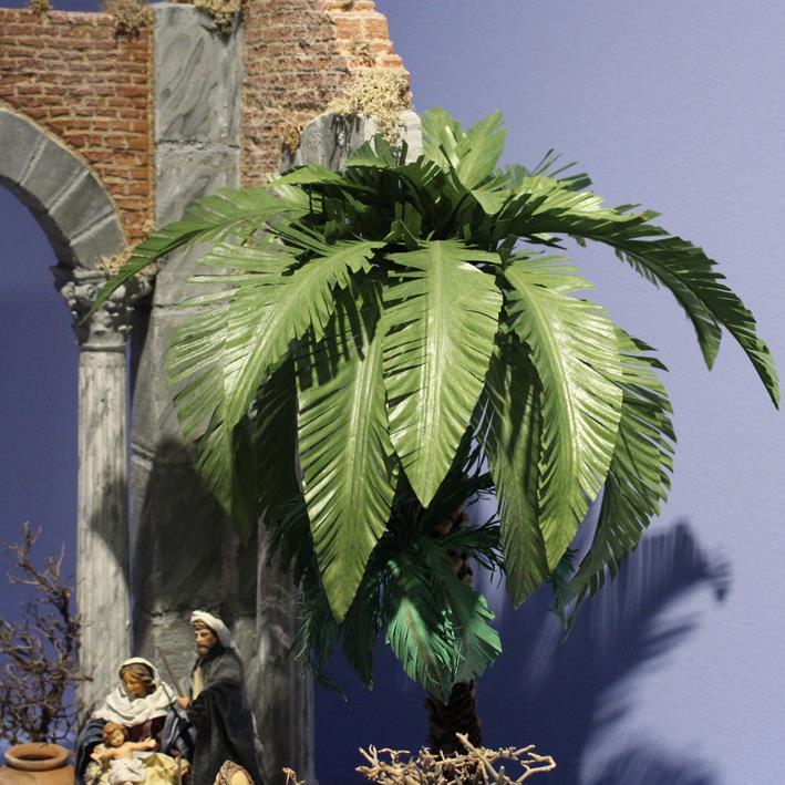 Palme in einer Krippe