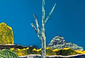 Zusatzferienkurs: Landschaften mit Farbe und Fantasie