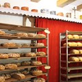 Brot