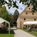 Internationaler Museumstag
