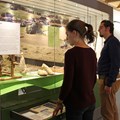 Oberschönenfeld und Bayerisch-Schwaben