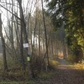 Oberschönenfeld Umgebung
