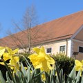 Frühlingsboten