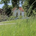 Museumshof im Sommer