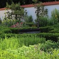 Kräutergarten