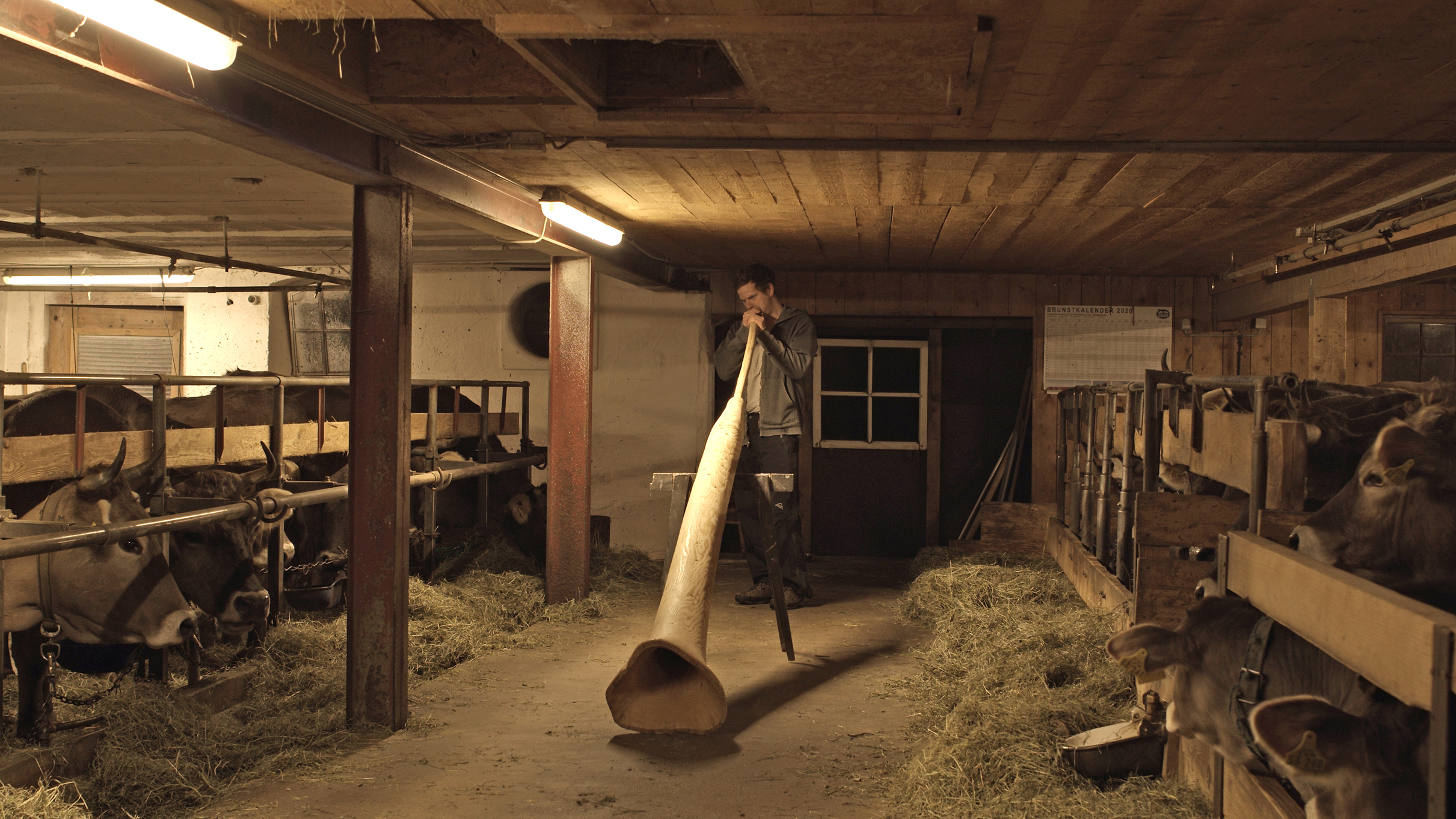 Neue Kunstausstellung in Oberschönenfeld: Talking to Cows von Jonas Maria Ried (Kunstpreisträger des Bezirks Schwaben 2021), 30. Oktober 2022 bis 29. Januar 2023