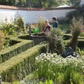 Garten im Herbst