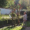 Garten in der Morgensonne