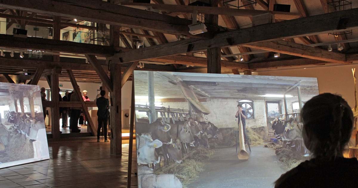 Jonas Maria Ried der mit den Kühen redet Künstlergespräch in der